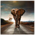 Фото #1 товара Leinwandbild Elefant auf der Straße
