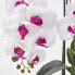 Künstliche weiß-pinke Phalaenopsis