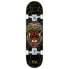 Фото #1 товара HYDROPONIC Shield 8.125´´ Skateboard