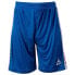 SELECT Player LNH Shorts