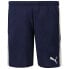 PUMA Teamliga Shorts