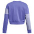 UNDER ARMOUR Icon Fleece Crop sweatshirt