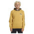 Фото #1 товара QUIKSILVER Omni Logo hoodie