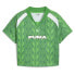 Puma Football Jersey Baby V Neck Short Sleeve Soccer Jersey Womens Green Casual