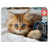 Фото #1 товара EDUCA BORRAS 200 Kitten Puzzle