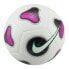 Фото #2 товара Nike Futsal Pro FJ5549-100 ball