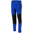 ICEPEAK Dorr I Pants