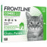 FRONTLINE Cat Combo - 3 Pipetten