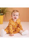 LCW baby Gömlek Yaka Kız Bebek Elbise
