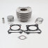 Фото #1 товара ITALKIT Sr25) D 54 mm Cylinder Kit