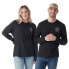 ფოტო #1 პროდუქტის SMARTWOOL Bear Stare Graphic long sleeve T-shirt