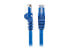 Фото #2 товара 50ft (15m) LSZH CAT6 Ethernet Cable, 10 Gigabit Snagless RJ45 100W PoE Patch Cor