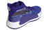 Кроссовки Adidas Dame 5 Collegiate Purple 5 EF0500