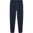 TOMMY JEANS Flag sweat pants Dark Night Navy, L - фото #1