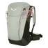 Фото #1 товара SALEWA Alp Trainer 25L backpack