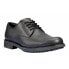 TIMBERLAND Stormbuck Plain Toe Oxford Shoes