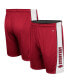 Фото #3 товара Men's Cardinal Arkansas Razorbacks Panel Shorts