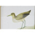 Фото #3 товара Картина DKD Home Decor птицы Cottage 30 x 2 x 30 cm (6 штук)
