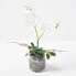 Фото #7 товара Künstliche weiß-gelbe Phalaenopsis