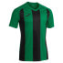 ფოტო #1 პროდუქტის JOMA Pisa II short sleeve T-shirt