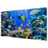 Фото #3 товара Magnettafel Underwater Reef