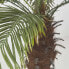 Фото #12 товара Искусственные цветы Homescapes Phoenix-Palme im Topf 160 cm