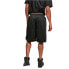 Фото #2 товара SOUTHPOLE Basketball shorts