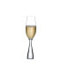 2 Piece Wine Party Champagne Glass, 8.5 oz