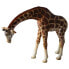 Фото #1 товара BULLYLAND Giraffe Figure