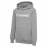 HUMMEL Go 2.0 Logo hoodie