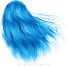 Фото #1 товара Haarfarbe - Dikson Color Writer Direct Semi-Permanent Hair Colour Blue