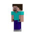 Фото #1 товара Mattel Minecraft 3.25" Core Figure Steve