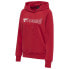 Фото #3 товара HUMMEL Noni 2.0 hoodie