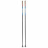 SWIX Quantum Q2 Poles