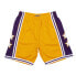 Mens Mitchell & Ness NBA SWINGMAN SHORTS - ALL STAR 72