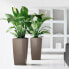 Plant pot Lechuza 50 x 50 x 95 cm Plastic Rectangular