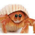 Фото #4 товара Фигурка Safari Ltd Hermit Crab Figure Wild Safari Sea Life (Дикая Сафари Жизнь в Море)