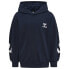 Фото #1 товара HUMMEL Due Hoodie