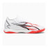 Puma Ultra Match It