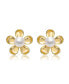 Sterling Silver 14k Yellow Gold Plated with White Freshwater Pearl Blooming Daisy Flower Stud Earrings Золотистый, 18 - фото #2