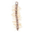 TRIXIE Centipede Toy 33 cm Brown / Beige - фото #2