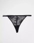 Dorina 3 pack lace & mesh G string thongs in black