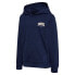 HUMMEL Fast hoodie