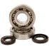 Фото #1 товара HOTRODS Kawasaki KX 250 02-07 Crank Shaft Bearing Kit