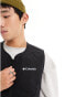 Columbia Birchwood onion quilted gilet in black