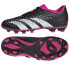 Фото #1 товара Shoes adidas Predator Accuracy.4 FG Jr HQ0952