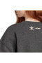 Фото #1 товара MOOMIN SWTSHRT Erkek Sweatshirt IB9950