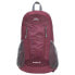 Фото #1 товара TRESPASS Bustle 25L backpack