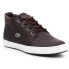 Фото #1 товара Lacoste Apmthill Terra Hhi Spw