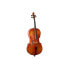 Фото #1 товара Hidersine Uno Cello Set 4/4
